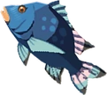 Dorada robusta