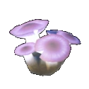 Seta luminosa