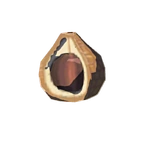 Fruto de árbol