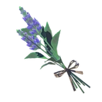 Campanilla gélida