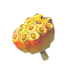 Semilla de loto rauda