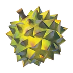 Durian vivaz