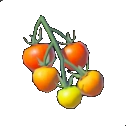 Tomates hylianos