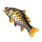 Carpa recia
