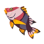 Dorada recia