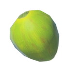 Fruto de palmera