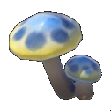 Seta celeste
