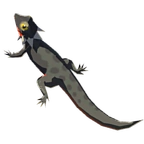 Lagarto adherente