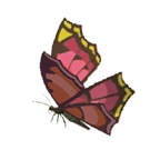 Mariposa ígnea