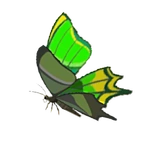 Mariposa electro