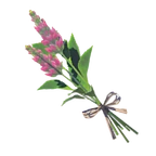 Campanilla ígnea