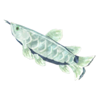 Arowana helado