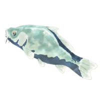 Carpa helada