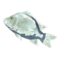 Dorada helada