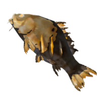 Carpa asada
