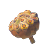 Semilla de loto asada