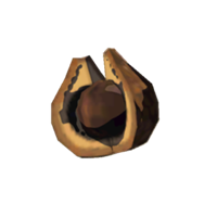Fruto de árbol asado