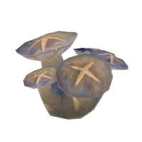 Seta luminosa asada