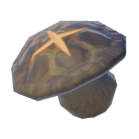 Seta robusta asada